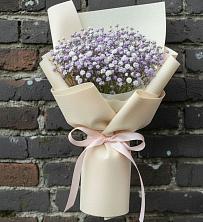 Букет цветов из:  Гипсофила в Прогрессе