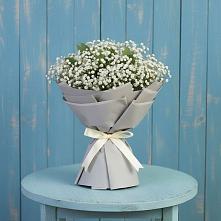 Букет цветов из:  Гипсофила в Прогрессе