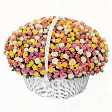 Премиум букет из: Розы в Прогрессе