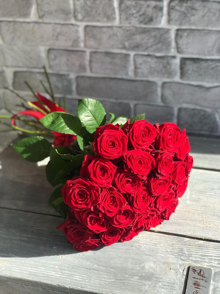 Букет Красные розы Фридом в Прогрессе