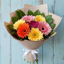 Букет цветов из:  Герберы в Прогрессе