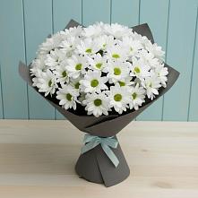 Букет цветов из:  Хризантемы #REPLACE_PRED# Прогрессе