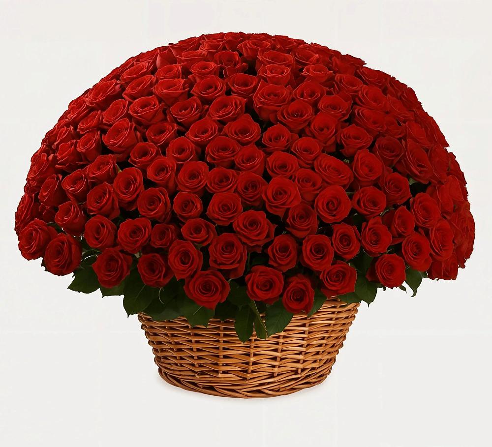 Премиум букет из: Розы в Прогрессе