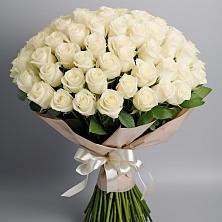 Букет 101 беля роза Белоснежка в Прогрессе