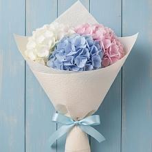 Букет цветов из:  Гортензия в Прогрессе