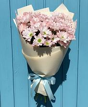 Букет цветов из:  Хризантемы в Прогрессе