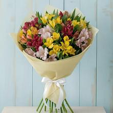Букет цветов из:  Альстромерии в Прогрессе
