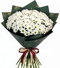 Букет цветов из:  Хризантемы в Прогрессе