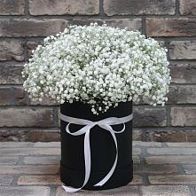 Цветочная композиция из Гипсофила в шляпной коробке #REPLACE_PRED# Прогрессе