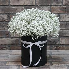 Цветочная композиция из Гипсофила в шляпной коробке в Прогрессе