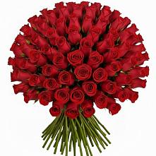 Букет Красные розы Чери Лав в Прогрессе